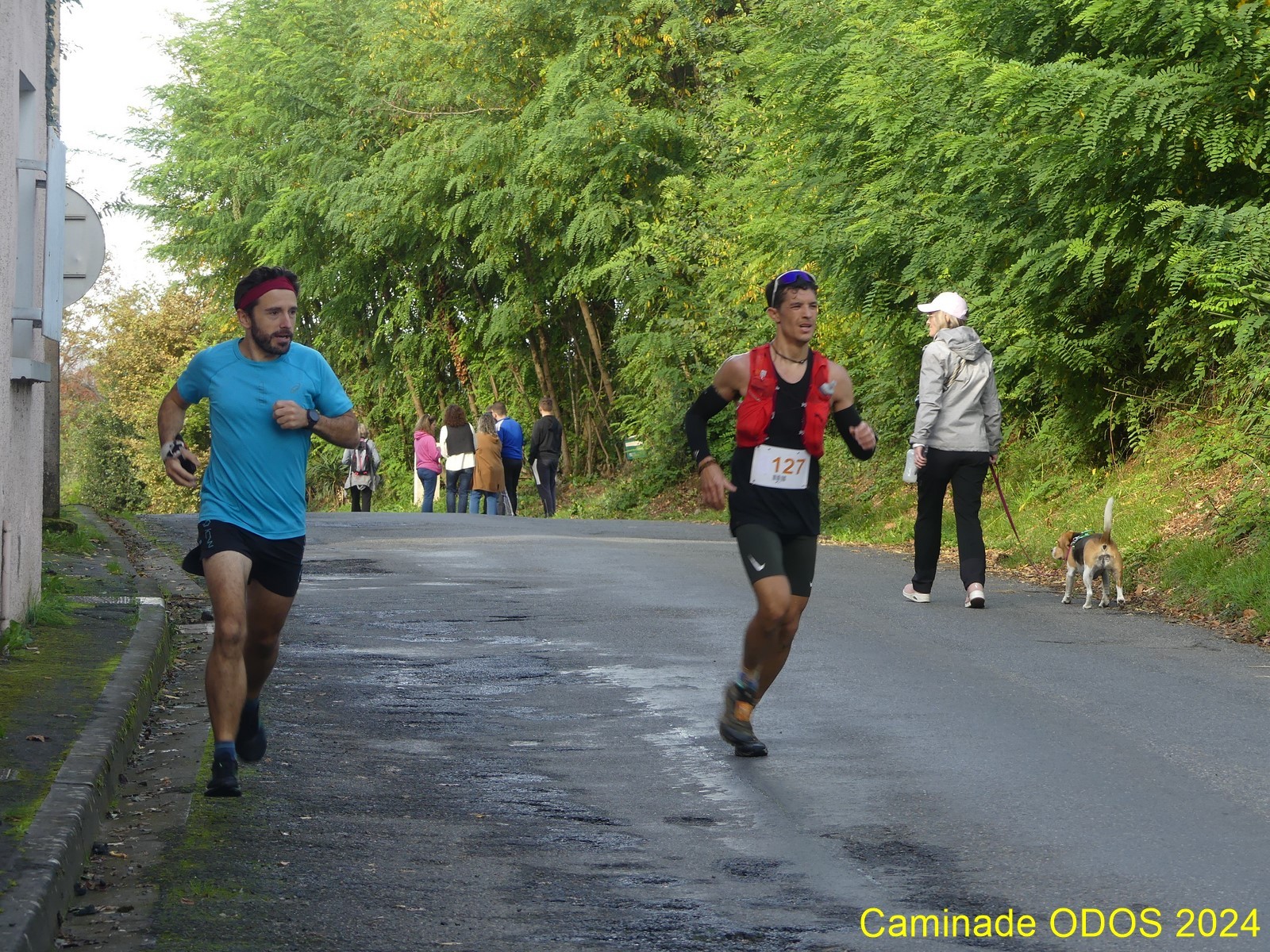 Caminade 2024 jm tisne 65 
